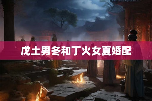 戊土男冬和丁火女夏婚配
