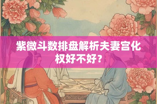 紫微斗数排盘解析夫妻宫化权好不好？