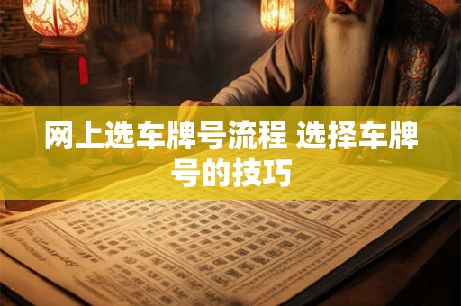 网上选车牌号流程 选择车牌号的技巧