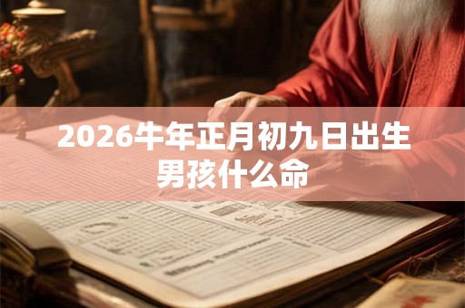 2026牛年正月初九日出生男孩什么命 2026牛年正月初九日出生男孩什么命