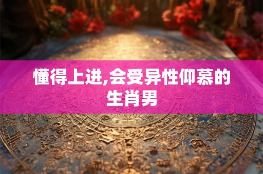 懂得上进,会受异性仰慕的生肖男