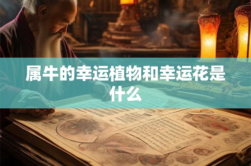 属牛的幸运植物和幸运花是什么 属牛的幸运植物和幸运花是什么