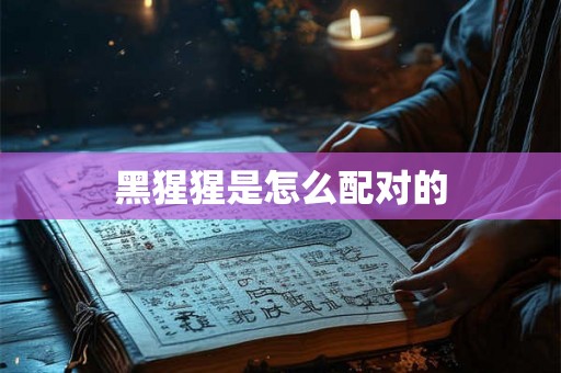 黑猩猩是怎么配对的