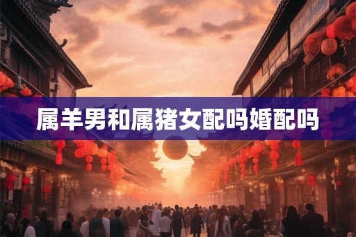 属羊男和属猪女配吗婚配吗