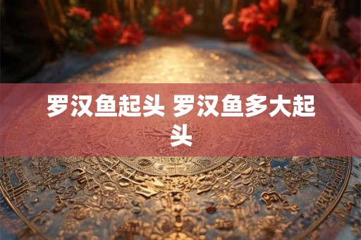罗汉鱼起头 罗汉鱼多大起头