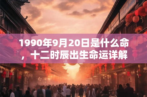 1990年9月20日是什么命，十二时辰出生命运详解
