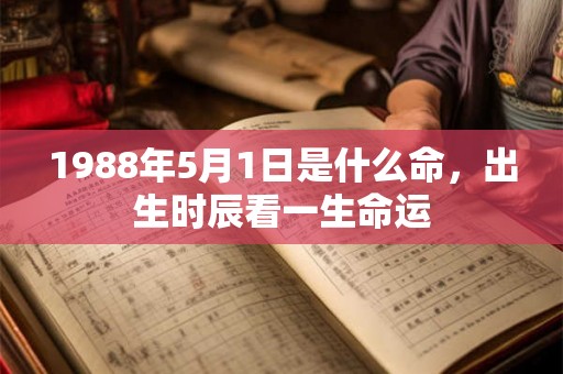1988年5月1日是什么命，出生时辰看一生命运