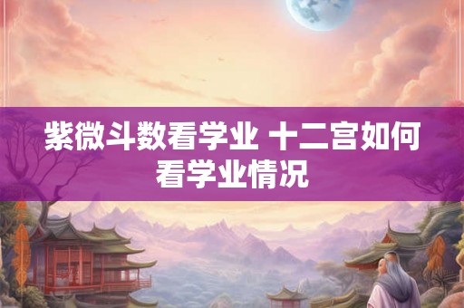 紫微斗数看学业 十二宫如何看学业情况
