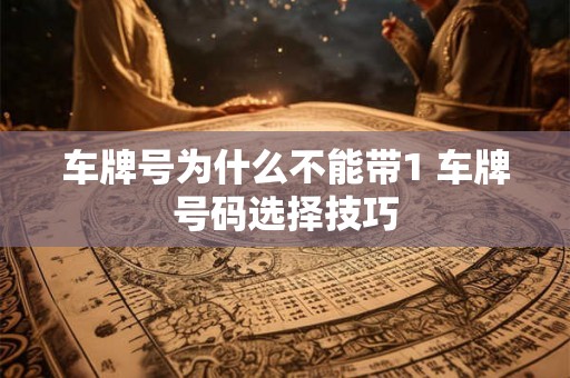 车牌号为什么不能带1 车牌号码选择技巧