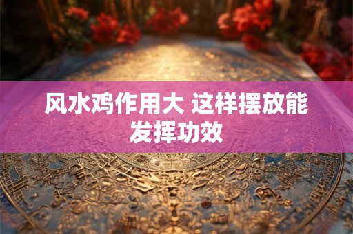 风水鸡作用大 这样摆放能发挥功效