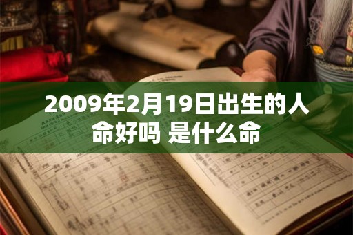 2009年2月19日出生的人命好吗 是什么命