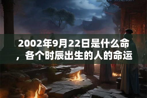 2002年9月22日是什么命，各个时辰出生的人的命运