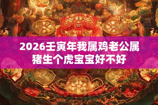 2026壬寅年我属鸡老公属猪生个虎宝宝好不好 2026壬寅年我属鸡老公属猪生个虎宝宝好不好
