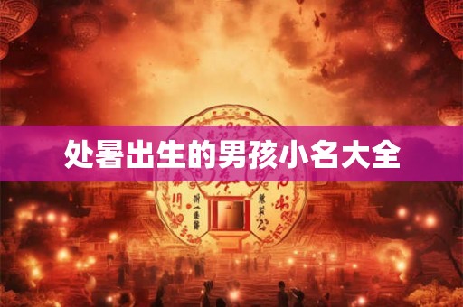 处暑出生的男孩小名大全