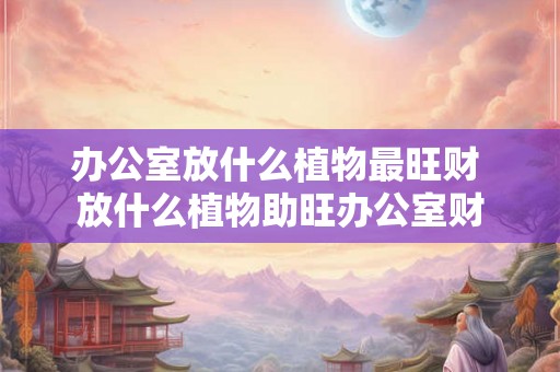 办公室放什么植物最旺财 放什么植物助旺办公室财