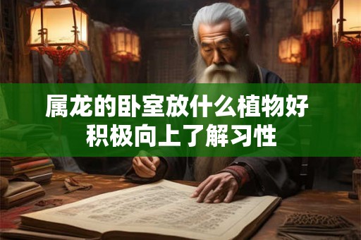 属龙的卧室放什么植物好 积极向上了解习性