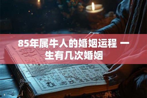 85年属牛人的婚姻运程 一生有几次婚姻