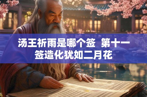 汤王祈雨是哪个签  第十一签造化犹如二月花