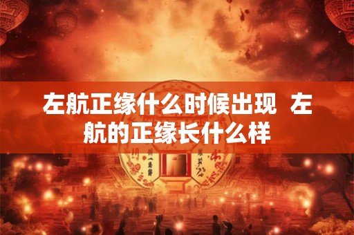 左航正缘什么时候出现 左航的正缘长什么样 左航正缘什么时候出现 左航的正缘长什么样