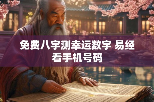免费八字测幸运数字 易经看手机号码