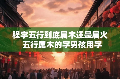 程字五行到底属木还是属火  五行属木的字男孩用字