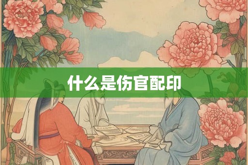 什么是伤官配印
