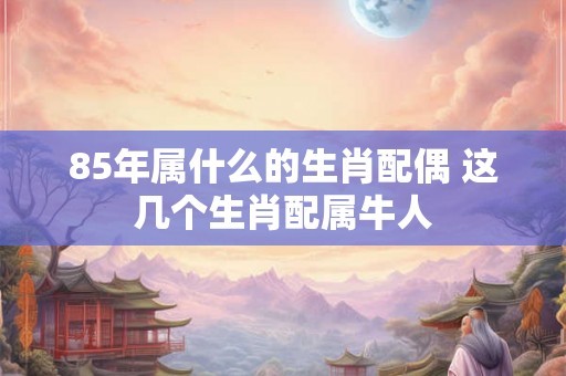 85年属什么的生肖配偶 这几个生肖配属牛人