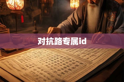 对抗路专属id