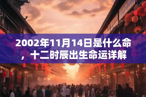 2002年11月14日是什么命，十二时辰出生命运详解