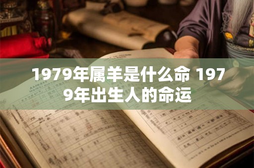 1979年属羊是什么命 1979年出生人的命运 1979年属羊是什么命 1979年出生人的命运