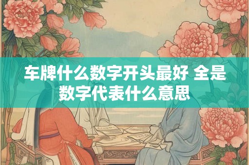 车牌什么数字开头最好 全是数字代表什么意思