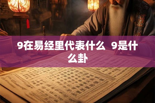 9在易经里代表什么 9是什么卦 9在易经里代表什么 9是什么卦