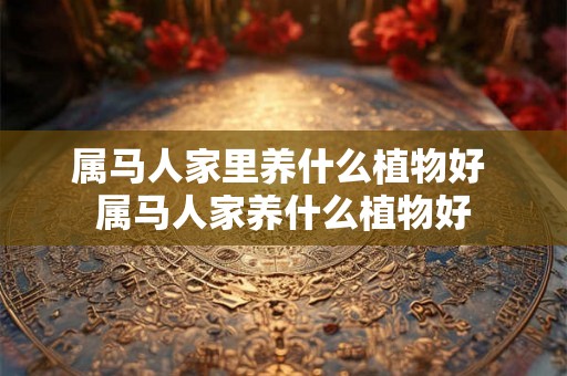 属马人家里养什么植物好 属马人家养什么植物好 属马人家里养什么植物好 属马人家养什么植物好