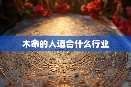 木命的人适合什么行业