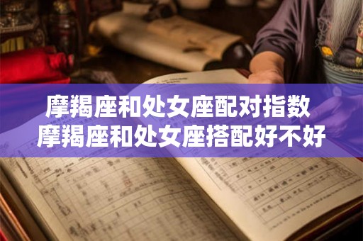 摩羯座和处女座配对指数 摩羯座和处女座搭配好不好