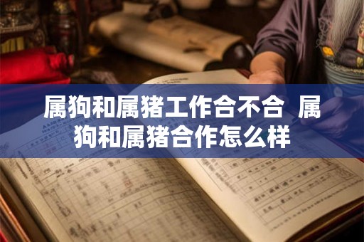 属狗和属猪工作合不合  属狗和属猪合作怎么样
