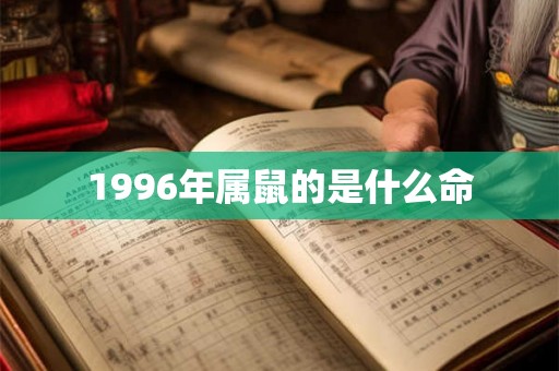1996年属鼠的是什么命 1996年属鼠的是什么命