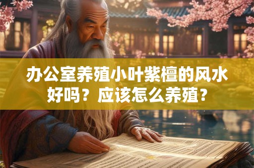 办公室养殖小叶紫檀的风水好吗？应该怎么养殖？