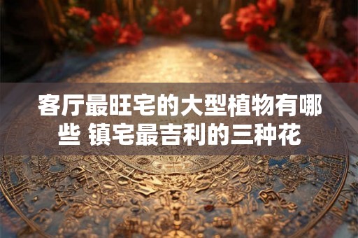 客厅最旺宅的大型植物有哪些 镇宅最吉利的三种花