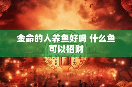 金命的人养鱼好吗 什么鱼可以招财