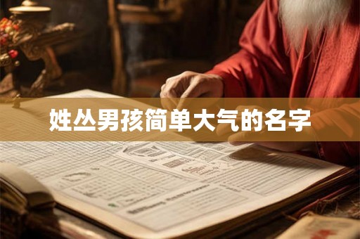 姓丛男孩简单大气的名字 姓丛男孩简单大气的名字