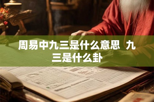 周易中九三是什么意思  九三是什么卦