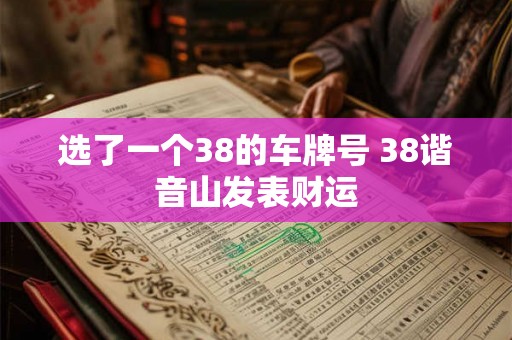 选了一个38的车牌号 38谐音山发表财运