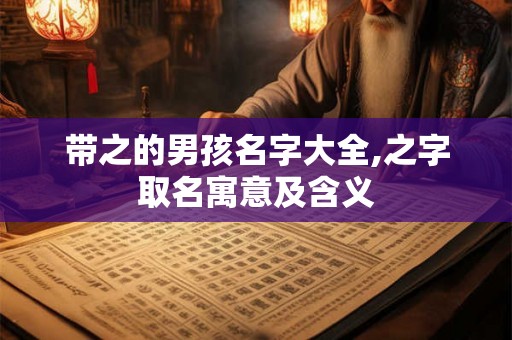 带之的男孩名字大全,之字取名寓意及含义