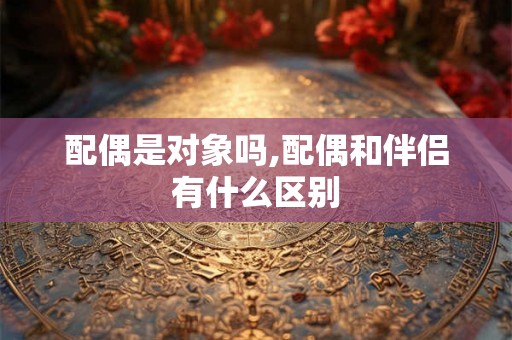 配偶是对象吗,配偶和伴侣有什么区别