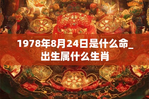 1978年8月24日是什么命_出生属什么生肖