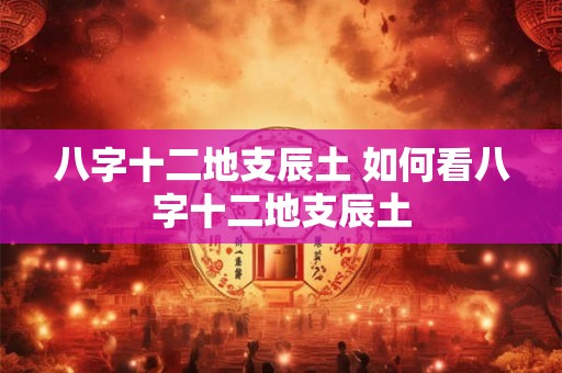 八字十二地支辰土 如何看八字十二地支辰土