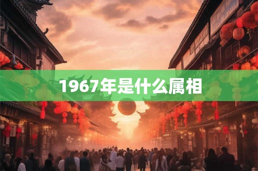 1967年是什么属相