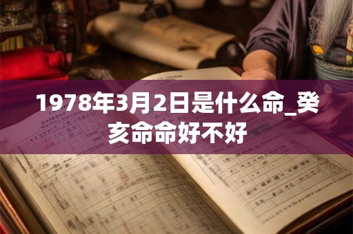 1978年3月2日是什么命_癸亥命命好不好