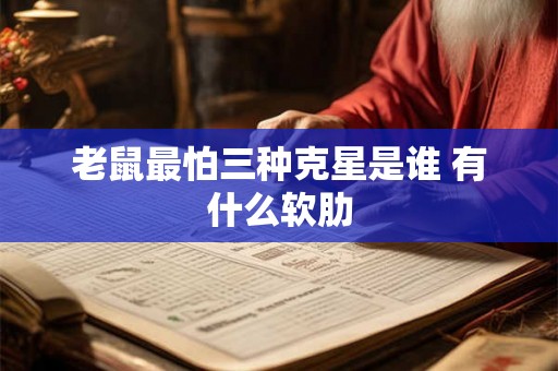 老鼠最怕三种克星是谁 有什么软肋